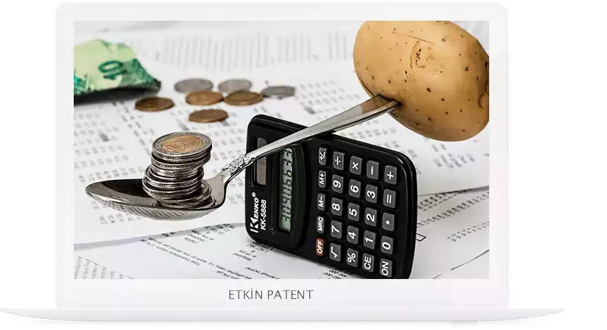 finansal davranışlara dair kombinasyon modeller-Maraş Patent
